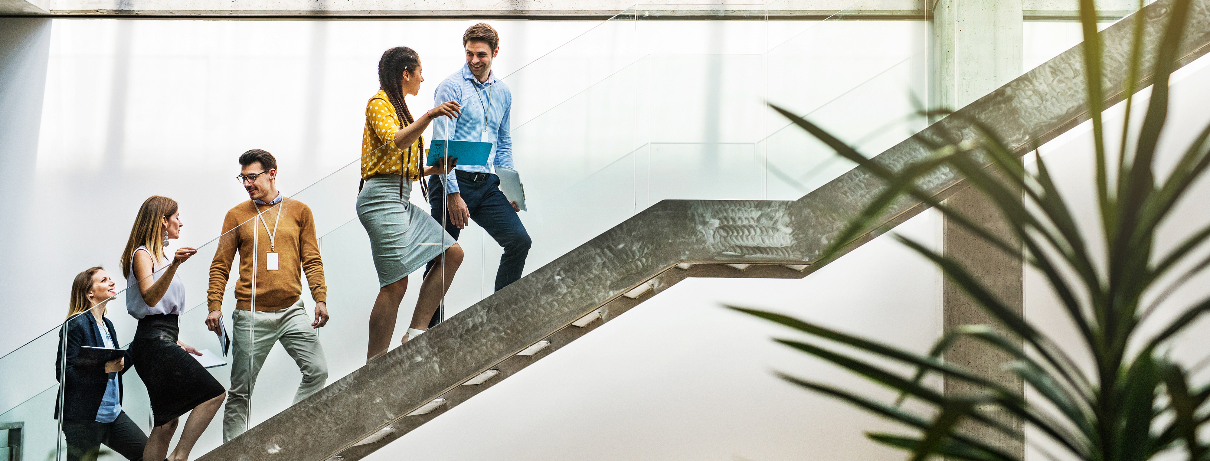 Neuer Inhalt Neuer Inhalt